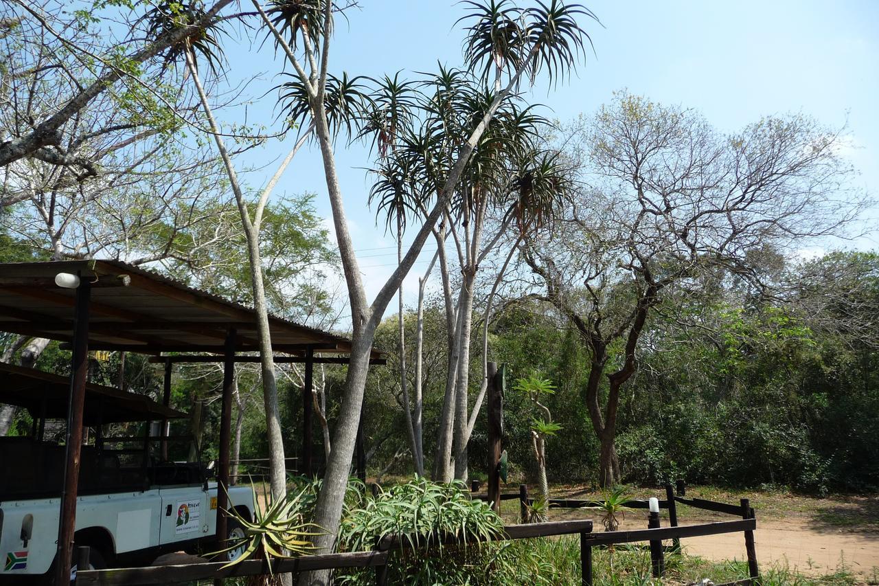 Villa Isinkwe Bush Camp à Hluhluwe Extérieur photo