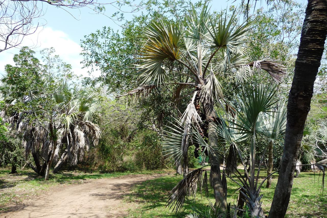 Villa Isinkwe Bush Camp à Hluhluwe Extérieur photo