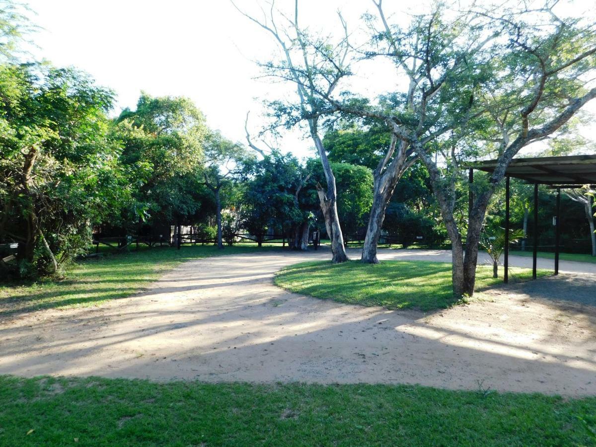 Villa Isinkwe Bush Camp à Hluhluwe Extérieur photo